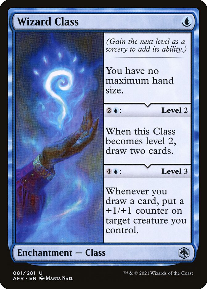 Wizard Class 81/281 (Adventures in the Forgotten Realms) 