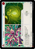 Everbloom // Life SEA258 (High Seas) 