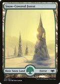 Snow-Covered Forest (Modern Horizons)  - undefined