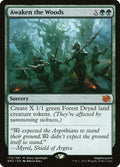 Awaken the Woods 170 (The Brothers' War) 