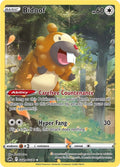 Bidoof GG29/GG70 (Crown Zenith: Galarian Gallery)  - Holofoil