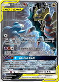 Garchomp and Giratina GX SM193 (SM Promos)  - Holofoil