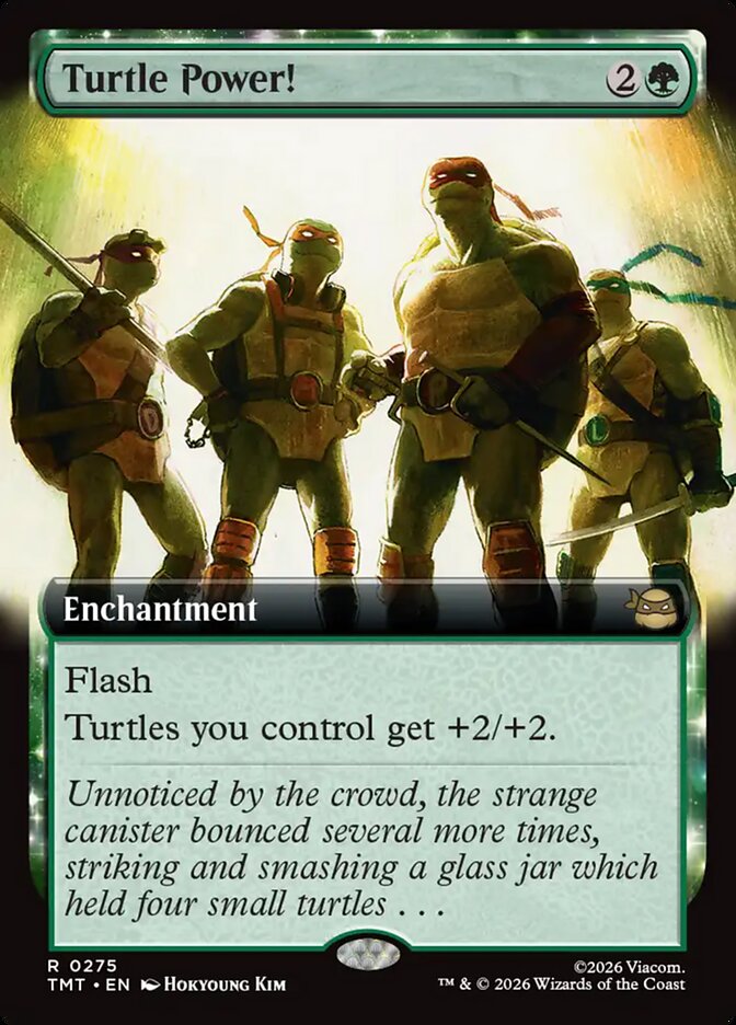 Turtle Power! (Teenage Mutant Ninja Turtles)  - undefined