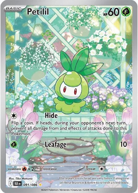 Petilil 091/086 (SV: Black Bolt)  - Holofoil