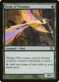 Birds of Paradise 252/383 (10th Edition) 