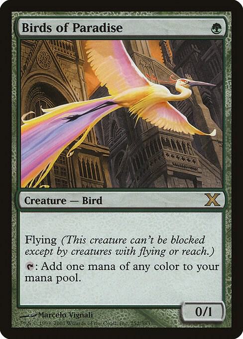 Birds of Paradise 252/383 (10th Edition) 