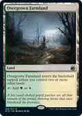 Overgrown Farmland 265/277 (Innistrad: Midnight Hunt) 